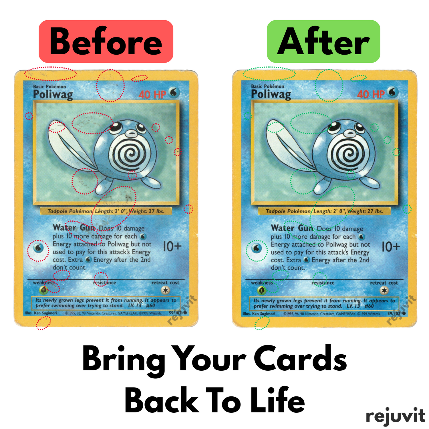 Card Care Kit
