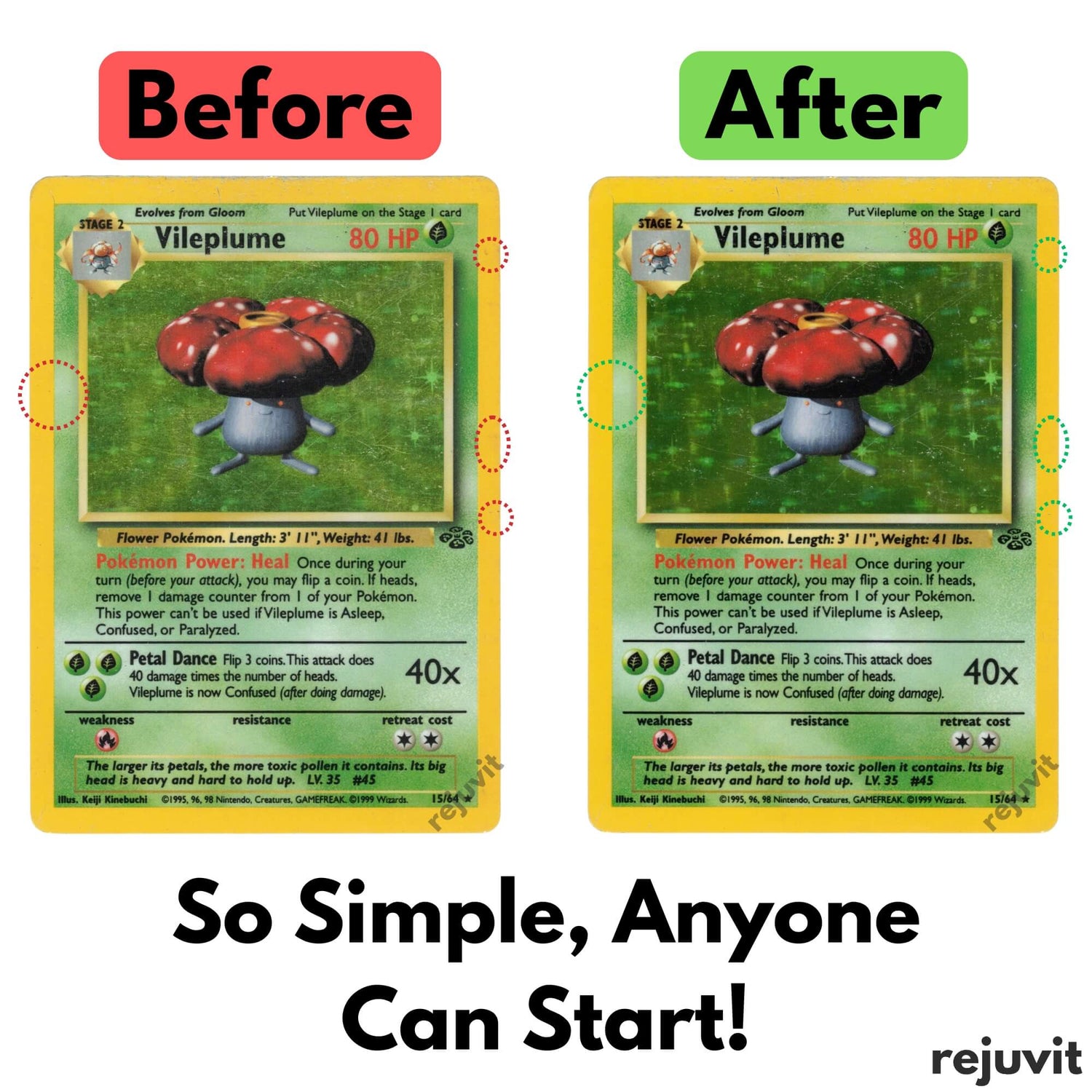 Card Care Kit