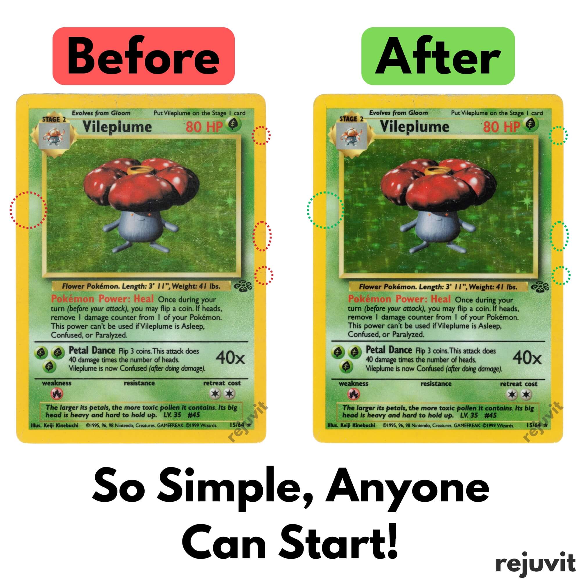 Card Care Kit