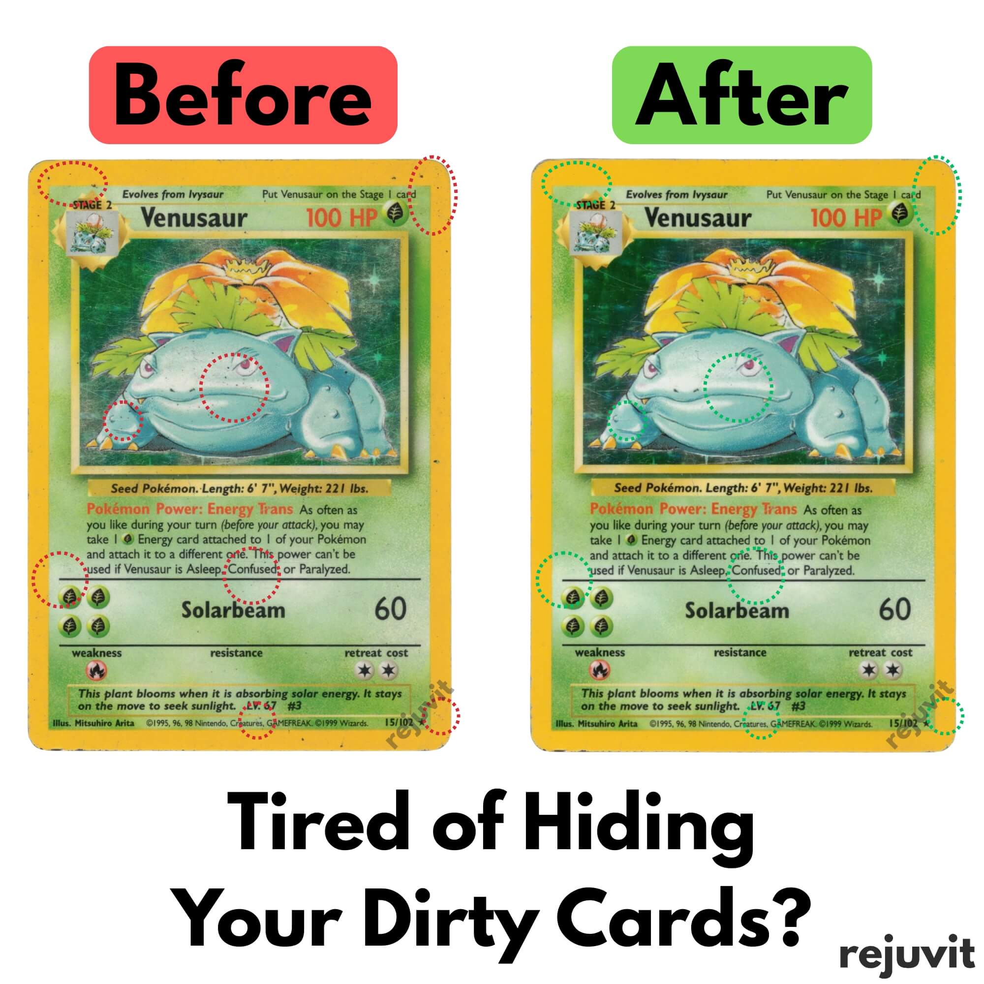Card Care Kit