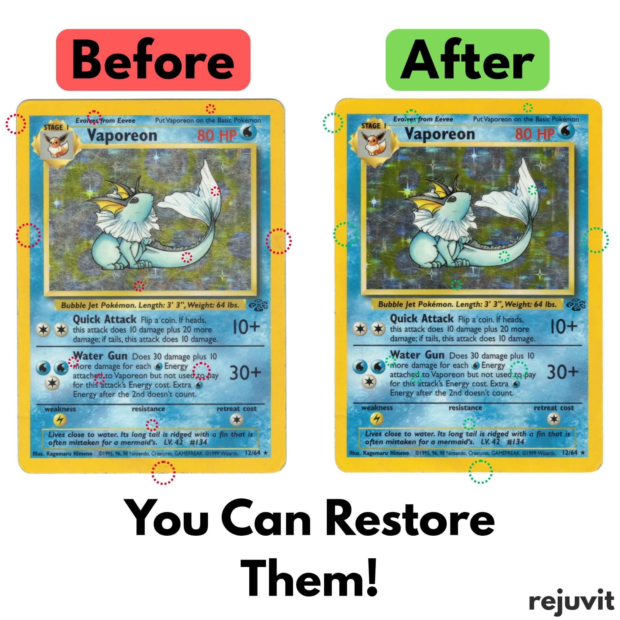 Card Care Kit